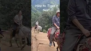 Hiking to Tiger's Nest in Bhutan | Horse Riding Service to Taktshang