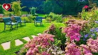 Цветочный рай 🌸 Пешеходная экскурсия по розарию в парке Лагранж в Женеве