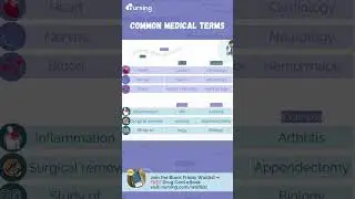 🎓 Common Medical Terms &ndash; Fast Cheat Sheet