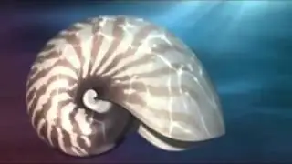 Fibonacci Sound Representation