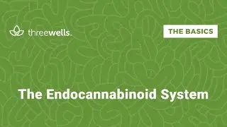 The Endocannabinoid System