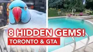8 HIDDEN GEMS OF TORONTO (and GTA - sandwiches, dessert, pet store and more!)