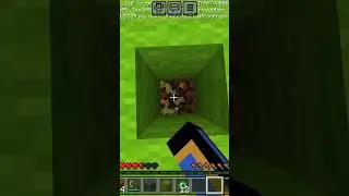 speedroon 😀