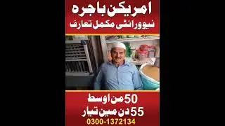 Proso Millat crop in fortabbas