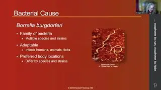 Learn About Lyme Disease, April 7, 2021