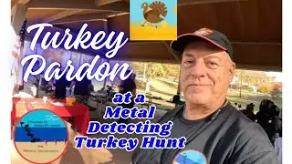 2025 Turkey Pardon Mistake: Metal Detecting Club Turkey Never Found!