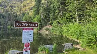 Recovered Video Footage Sullivan Lake Bigfoot Part 1 #bigfoot #forest #hiking #creepy 