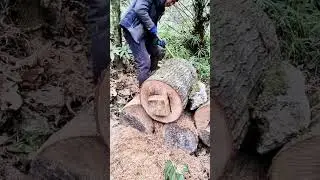 Wood square core extraction process- Good tools and machinery can increase work efficiency