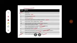 Describe different stages of hemostasis. Explain intrinsic and extrinsic mechanism of coagulation.