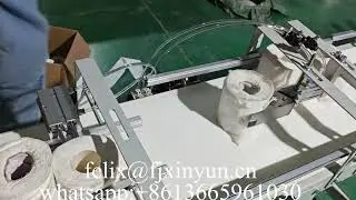 Toilet Tissue Paper Flow Wrapping Machine 12 Rolls Paper Roll Pillow Packing Machine