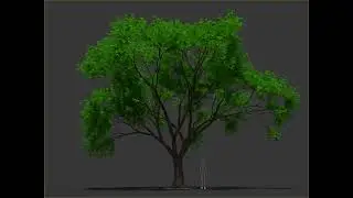 Tyflow procedural tree wind  test