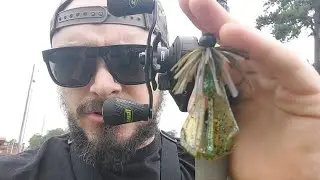 The Bass In This Pond DEVOURED This Small Jig