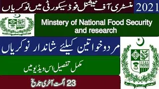 Ministry of national food security jobs August 2021 | Food department