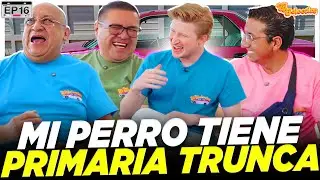 Mi PERRO tiene PRIMARIA TRUNCA