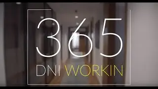 365 dni Workin