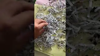 Document Destruction Services - On-site Confidential Destruction at Shanghai: Shredding Documents