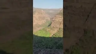 Beautiful mountains & Monkey in Kokan #kokan #monkey #mountains #wildlife #youtubeshorts #shortvideo