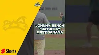Johnny Bench 