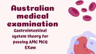 GIT System Made Easy I AMC MCQ Prep for IMGs I AMC Part 1 Explained I High Yield AMC MCQ (amedex)