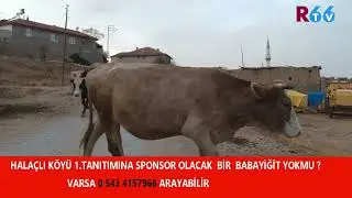 HALAÇLI KÖYÜ