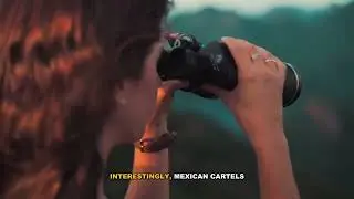 Complete Guide to Money Laundering in Drug Cartels Explained