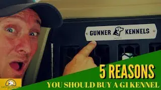 Best Crate for Large Dogs (Gunner Kennels G1 Review)