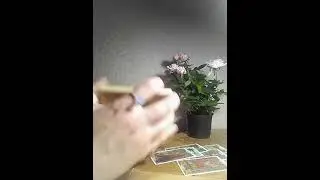 Что порадует в ближайшие дни?Что 💯 разрешится?!