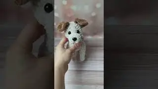 Beige Dog