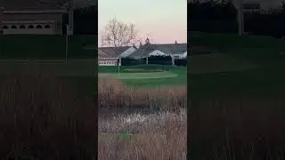 Nice shot but yes I missed the birdie putt. #golfswing #golfliving #golfcourse #golfday #golfing