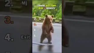 Рейтинг лучших смешных моментов с медведями №2