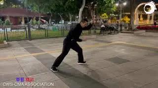 迷踪 羅漢拳   蕭和緣 Mizong Luohan Quan   Xiao He Yuan