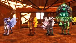 ARK: Survival Ascended &ndash; Ragnarok (Modded) #51: Der Drakeling Taming Marathon