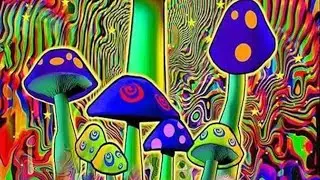 DENEVA PLANET SOUND Painting moment 