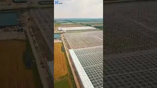 A Dutch hydroponic glass greenhouse under a drone #greenhouseglass #agriculture #venlogreenhouse