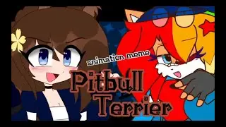 Pitbull Terrier meme {COLLAB!} | ft. @Sweet_Harmony_Galaxy | Art animation