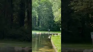 Perfect stone skipping moment 😍💦 #nature  #rock  #satisfying #shorts  #challenge  #water