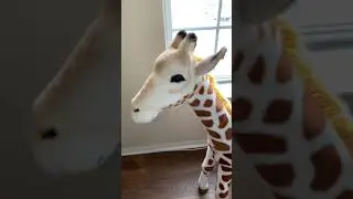 Steiff Knopf im Ohr Giraffe Button in Ear Collectible Stuffed Animal Toy Germany 42&rdquo; 109cm Ebay
