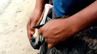 khashir paya cutting o cleaning. Amazing butcher skill.