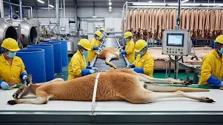 Inside the Kangaroo Leather Factory: From Australian Outback to Premium Soccer Boots (Full Process)