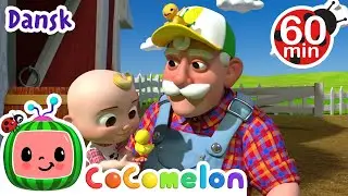 Old MacDonald | Børnesange for Babyer | De bedste tegnefilm for børn| CoComelon Dansk