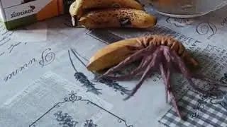 Корона Вирус Китай. Источник нашли. Срочно