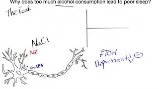 Why does drinking too much alcohol lead to poor sleep and waking up with 