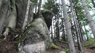 Broumovské stěny - Zaječí rokle, Kamenné hřiby, Supí hnízdo 6.9.2025