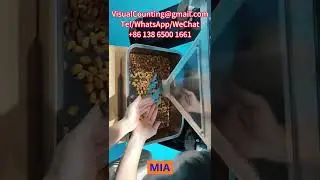 China Visual Counting Machine for Nuts Manufacturer Supplier Price in USA Russia Poland Spain Brazil