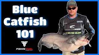 Catfishing - How To Catch More & Bigger Catfish