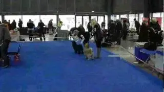 Sebinka na 1. v&yacute;stavě.mp4