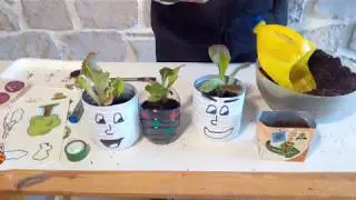 JARDINERA AMB ENVASOS