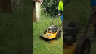 Mowing Down Extremely Tall Grass