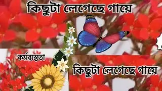 ভীষণ ভাবে গাঁয়ে লেগেছে। ধৈর্য্য ধরো।@kakalikhanam 👈
