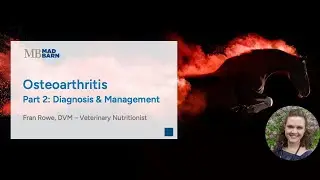 Part 2 - Diagnosis & Management of Osteoarthritis in Horses - Mad Barn - Vet Talk